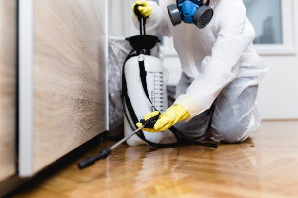 Best Affordable Pest Control Services  in Whiteman Af, MO