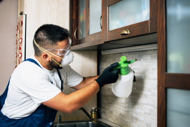 Best Best Pest Control Companies  in Whiteman Af, MO