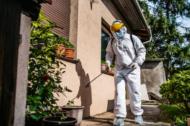 Best Mosquito Control Services  in Whiteman Af, MO