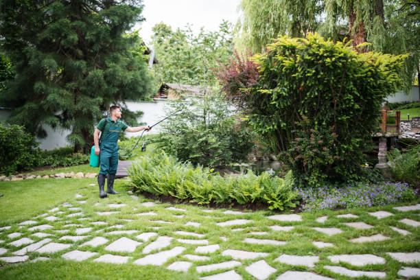 Best Best Pest Control Companies  in Whiteman Af, MO