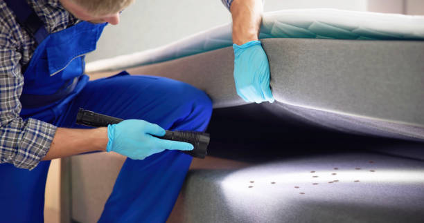 Best Local Pest Control Services  in Whiteman Af, MO