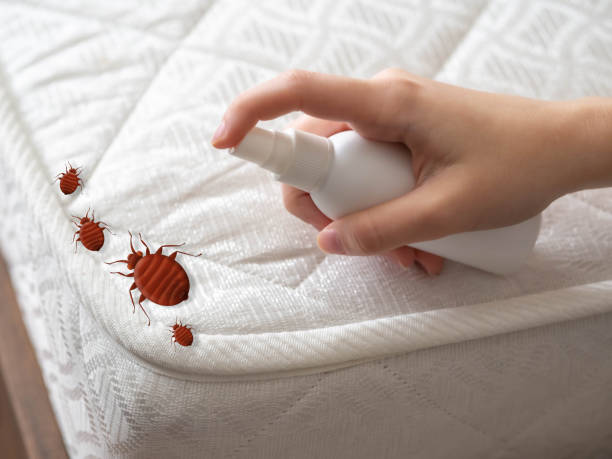 Best Pest Removal Services  in Whiteman Af, MO